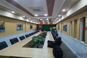 Tin tức