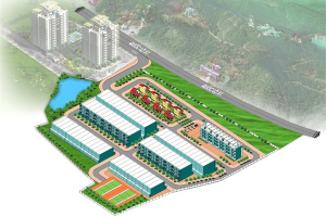 Tin tức
