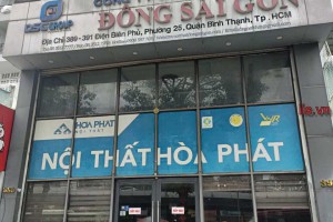 Tin tức